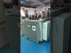 11kv/800kVA Three Phase Oil Immersed Power Transformer