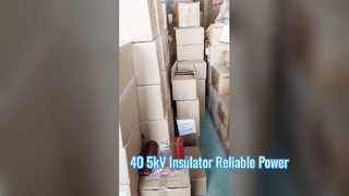 A Closer Look: 40.5kV High Voltage Epoxy Resin Insulator Shield Spout Bushings 660mm Height