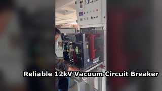 Introduce 12 kV High Voltage Indoor Vacuum Circuit Breaker Side Mounted 630A-1250A For You